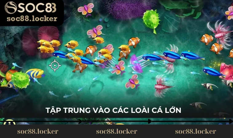 tap trung vao cac loai ca lon trong game Trong game, các loài cá có giá trị điểm thưởng khác nhau